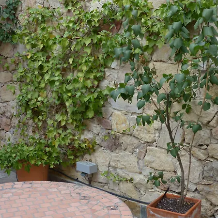 Отель Del Arco Pedraza