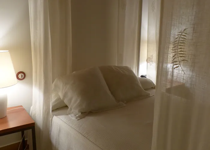 Del Arco 2* 페드라사