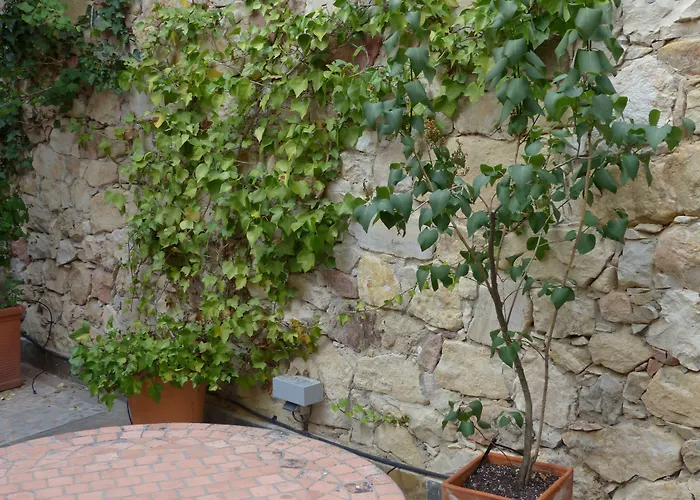 호텔 Del Arco 페드라사